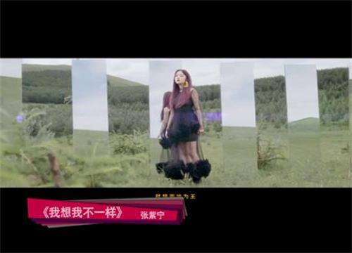 8月新歌速递