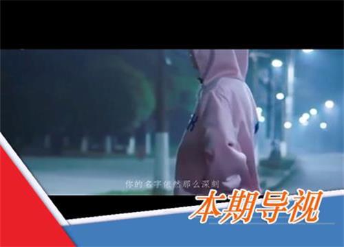 一首歌火遍网络的歌手