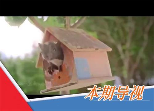 7月新歌